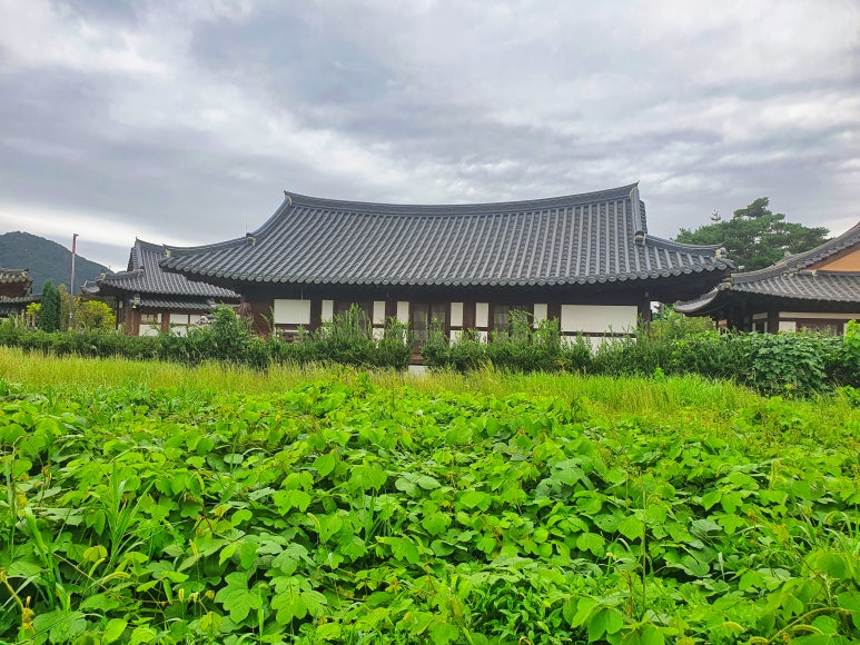 KakaoTalk_20241013_220634365_07.jpg